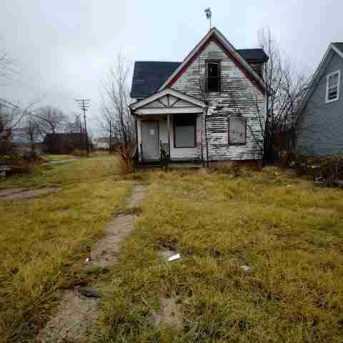 8031 conger (50).jpg